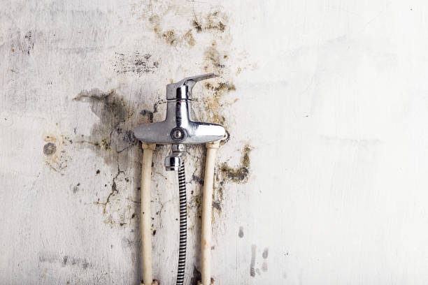 Water Damage Restoration in North Fair Oaks, CA
